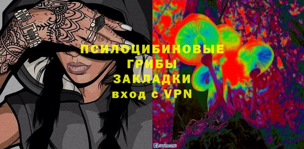 сатива Нея