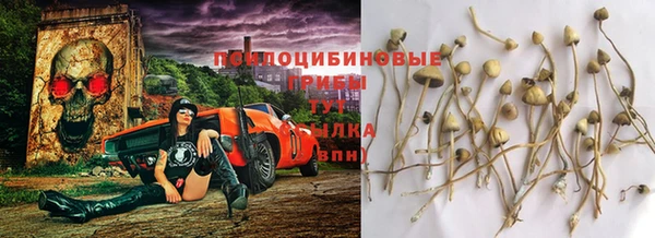 амф Нефтекумск