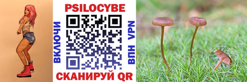 где купить наркоту  Приморско-Ахтарск  МЕГА ONION  Галлюциногенные грибы Magic Shrooms 