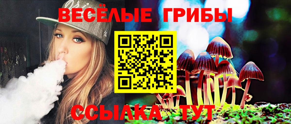 Псилоцибиновые грибы Cubensis Приморско-Ахтарск