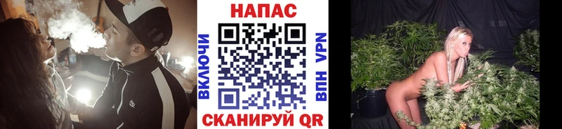 как найти наркотики  Приморско-Ахтарск  Канабис Bruce Banner 